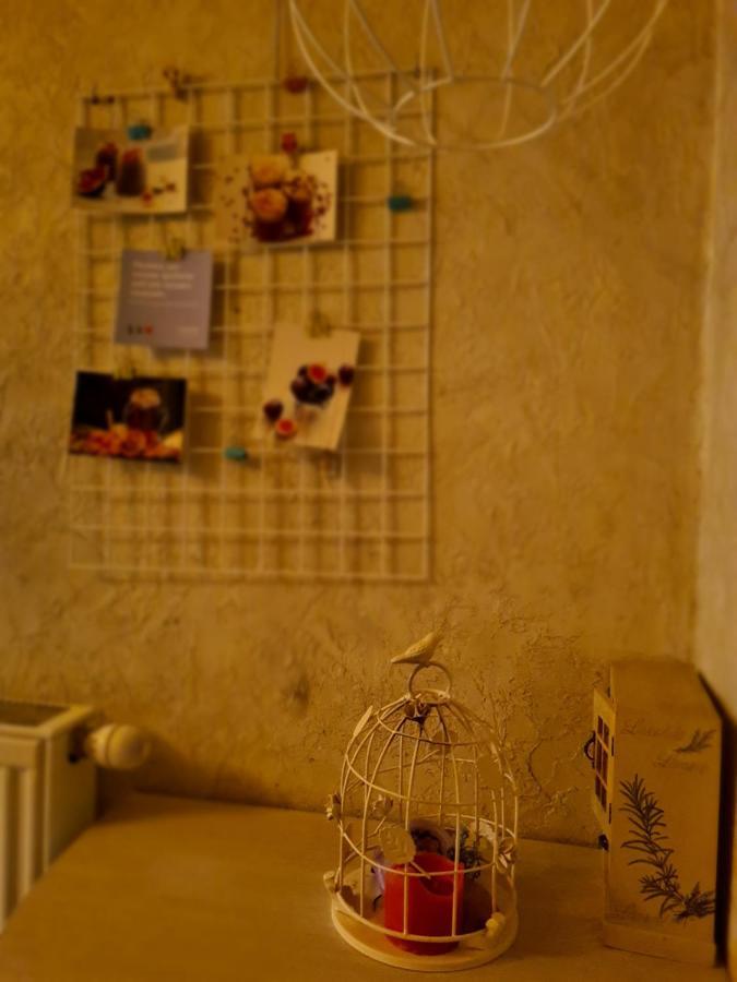 Cozy Compact Flat In The City Center Lviv Exterior photo